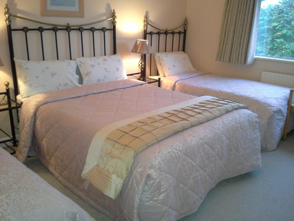 Fern Rock Bed And Breakfast Dromin Pokoj fotografie