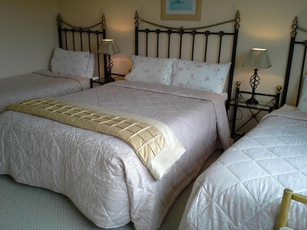 Fern Rock Bed And Breakfast Dromin Pokoj fotografie