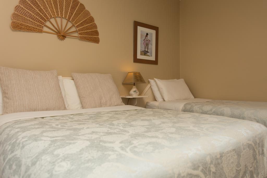 Fern Rock Bed And Breakfast Dromin Exteriér fotografie